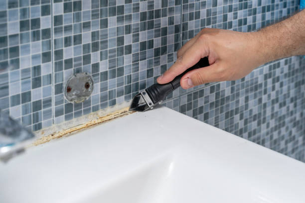 Best Local Mold Removal Service  in Ironwood, MI
